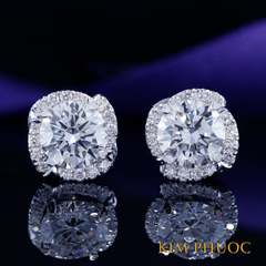 Earrings AEM386