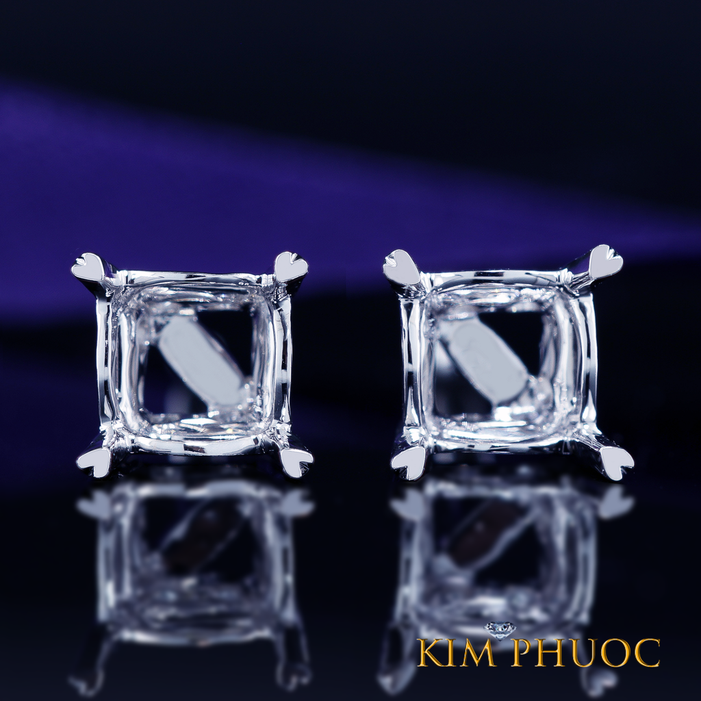 Earrings AEM388