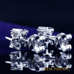 Earrings AEM389