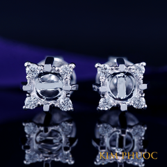 Earrings AEM389