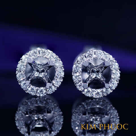 Earrings AEM392