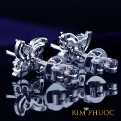 Earrings AEM393