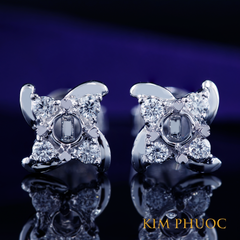 Earrings AEM393