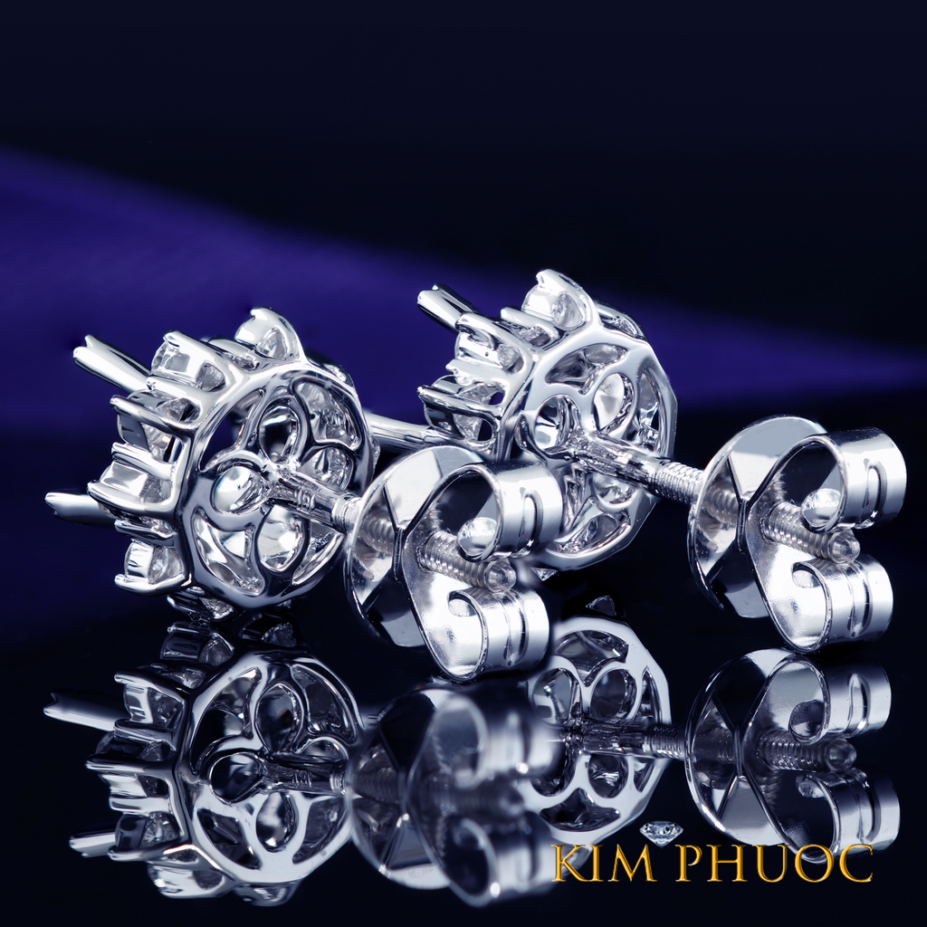 Earrings AEM395
