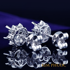 Earrings AEM395