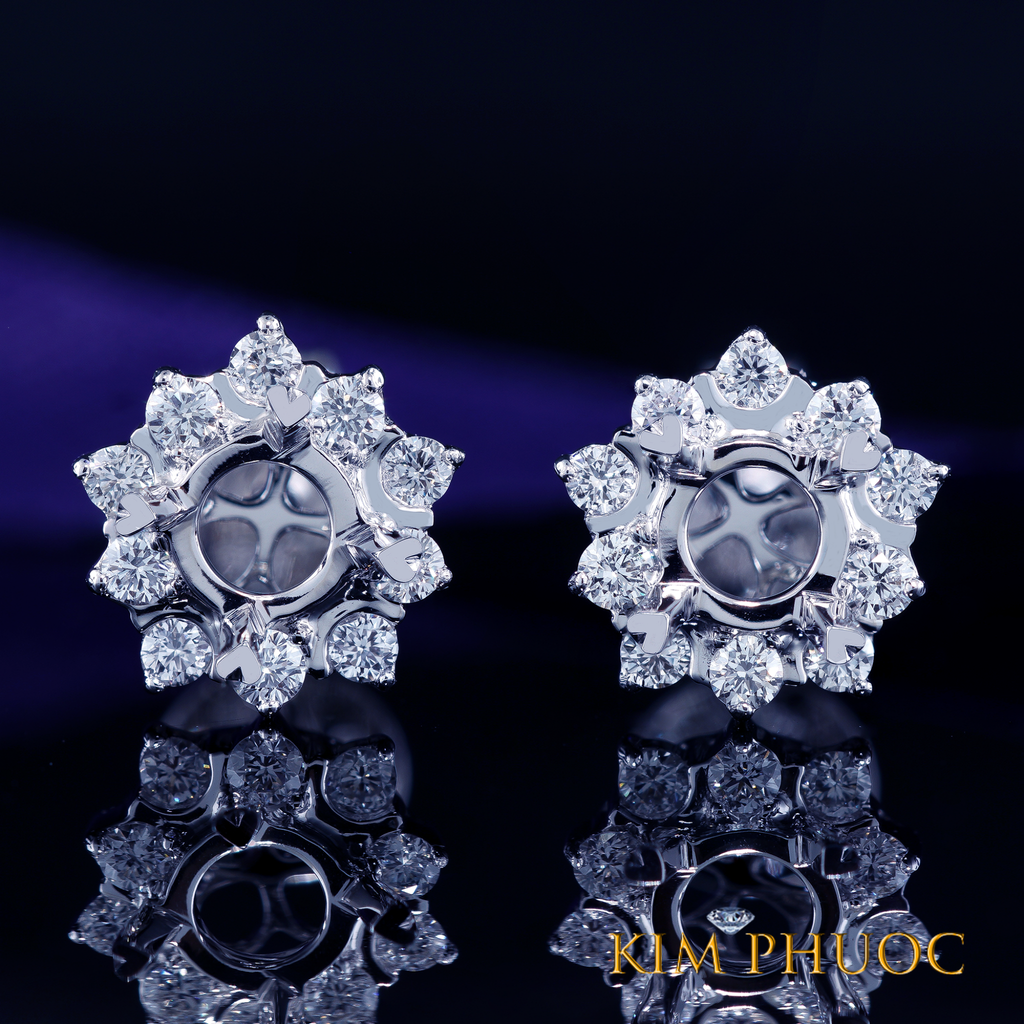 Earrings AEM395