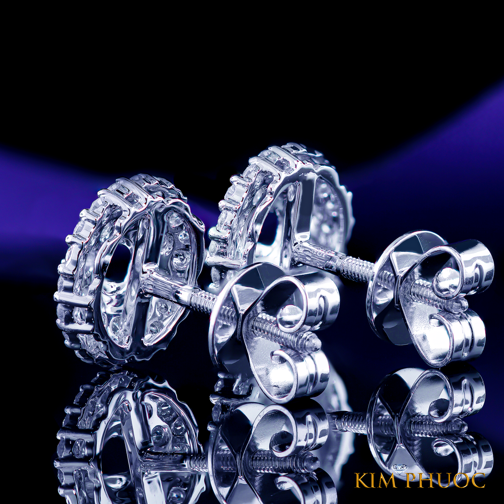 Earrings AEM404