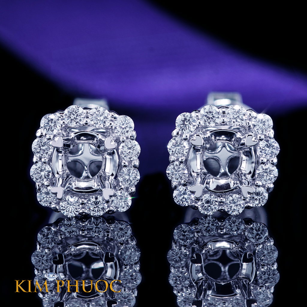 Earrings AEM412