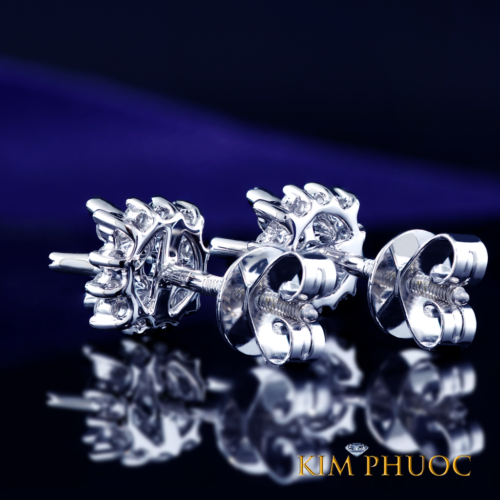 Earrings AEM417