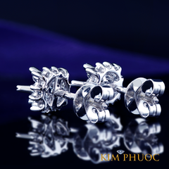 Earrings AEM417