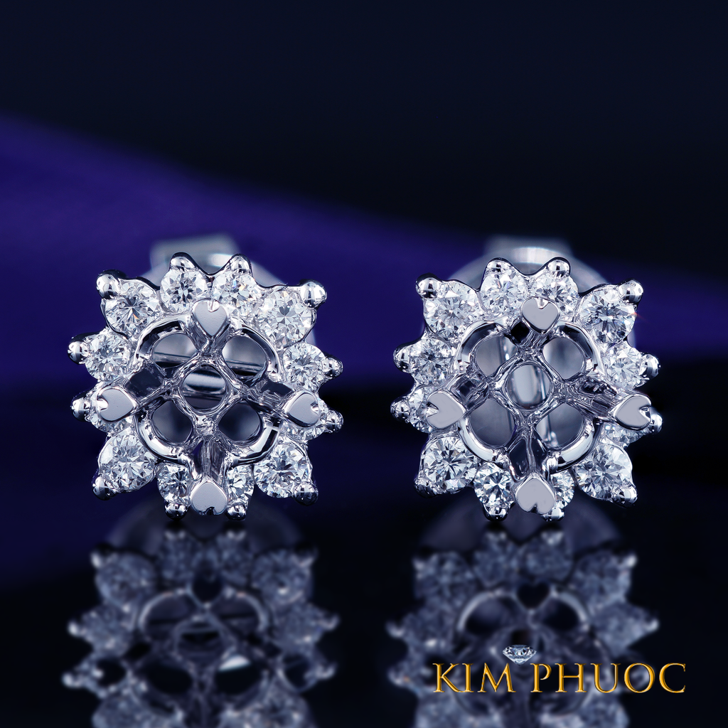 Earrings AEM417