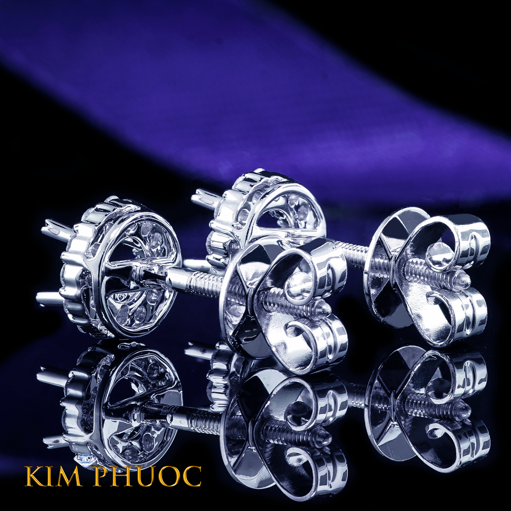 Earrings AEM419