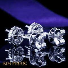 Earrings AEM419