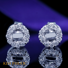 Earrings AEM419