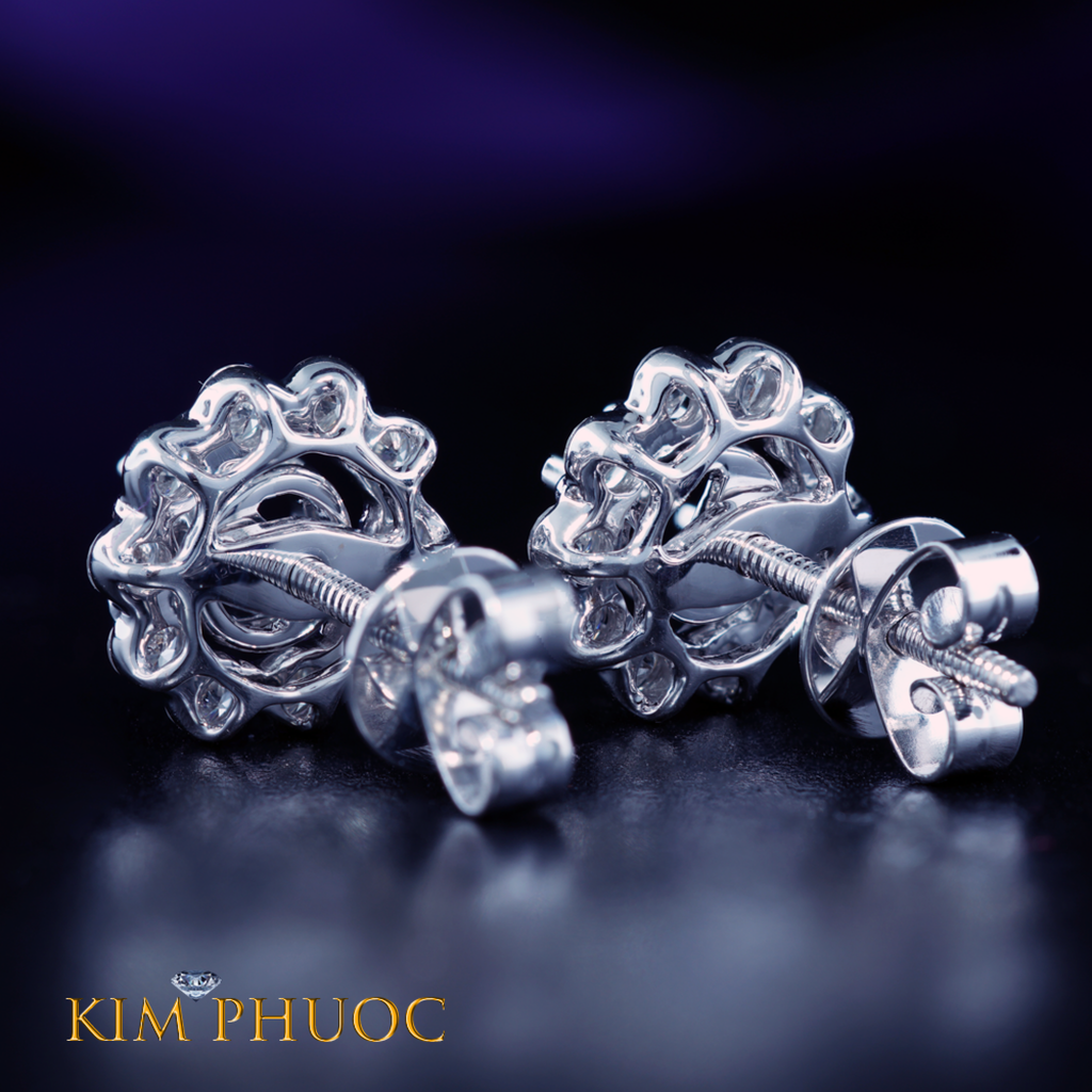 Earrings AEM421