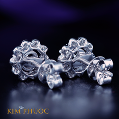 Earrings AEM421