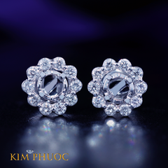 Earrings AEM421