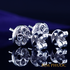 Earrings AEM434