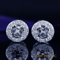Earrings AEM434