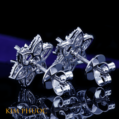 Earrings AEM437