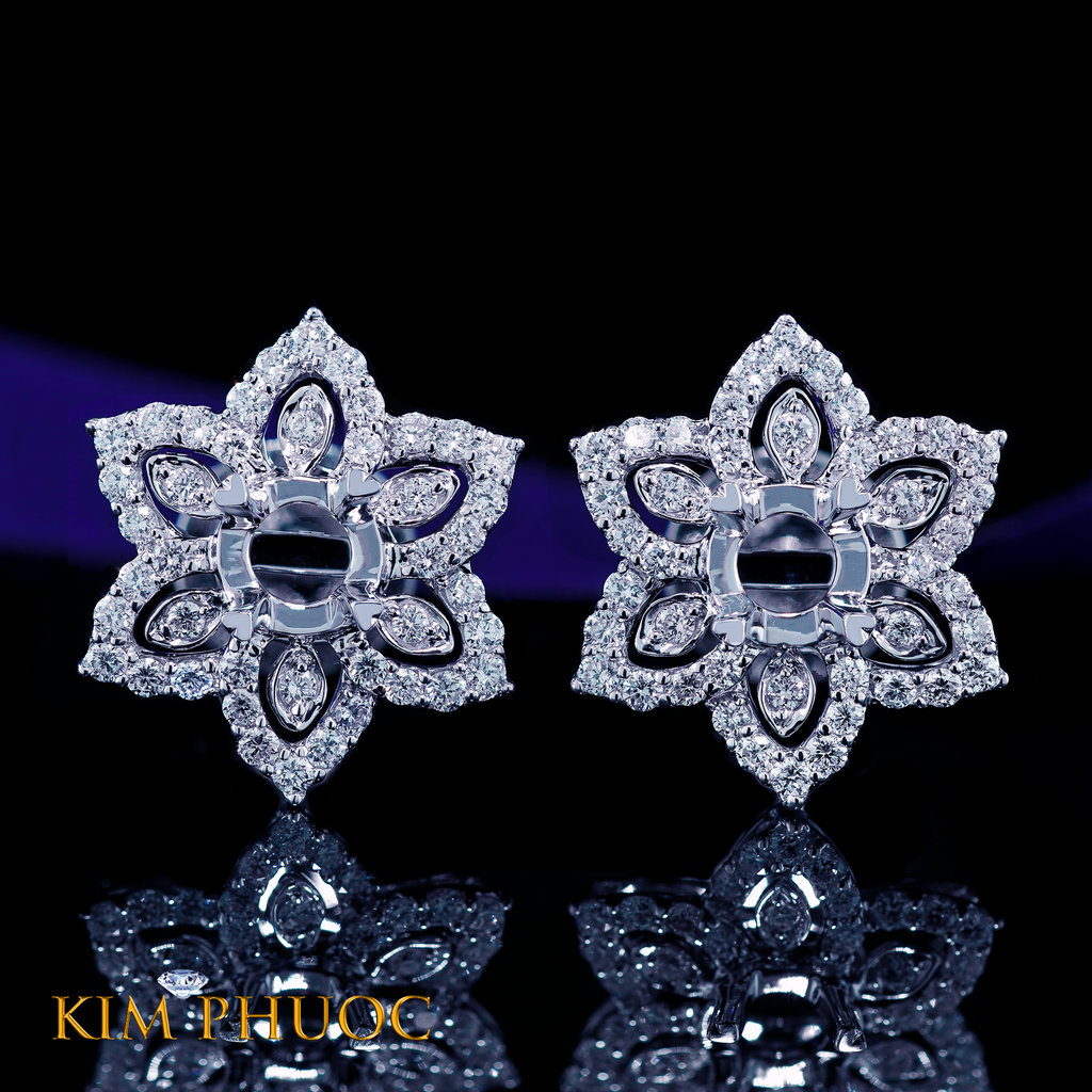Earrings AEM437