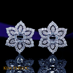 Earrings AEM437