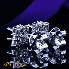 Earrings AEM439