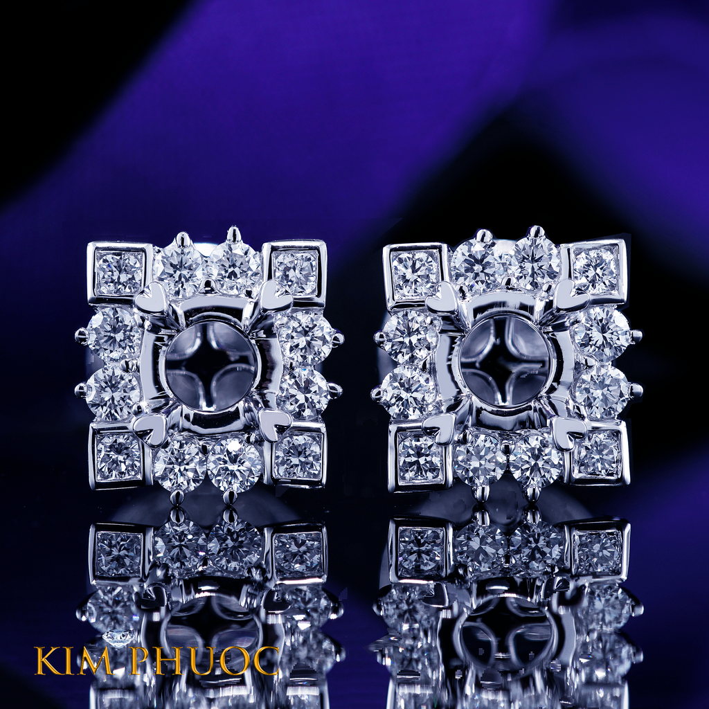 Earrings AEM439