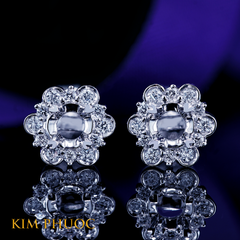 Earrings AEM441