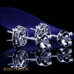 Earrings AEM442
