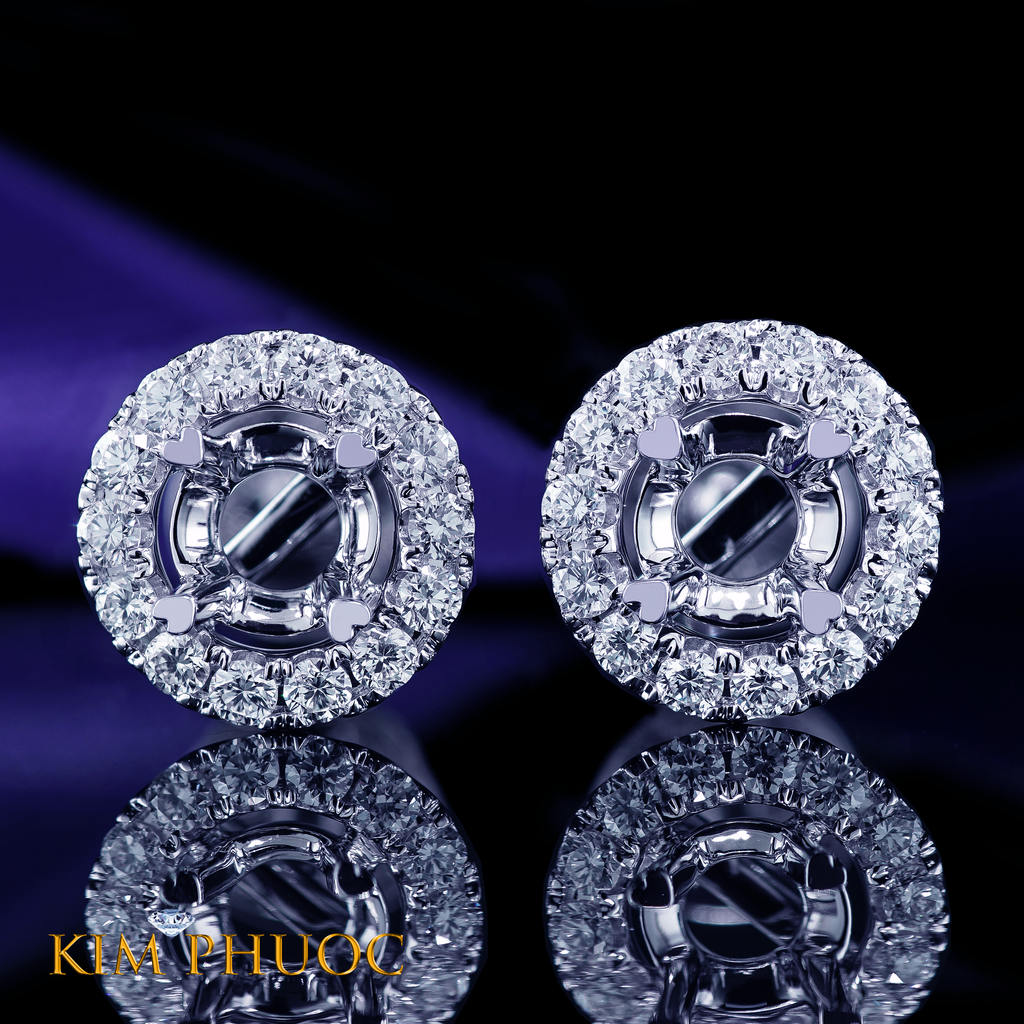 Earrings AEM442