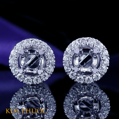 Earrings AEM442