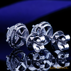Earrings AEM444