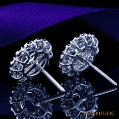 Earrings AEM445
