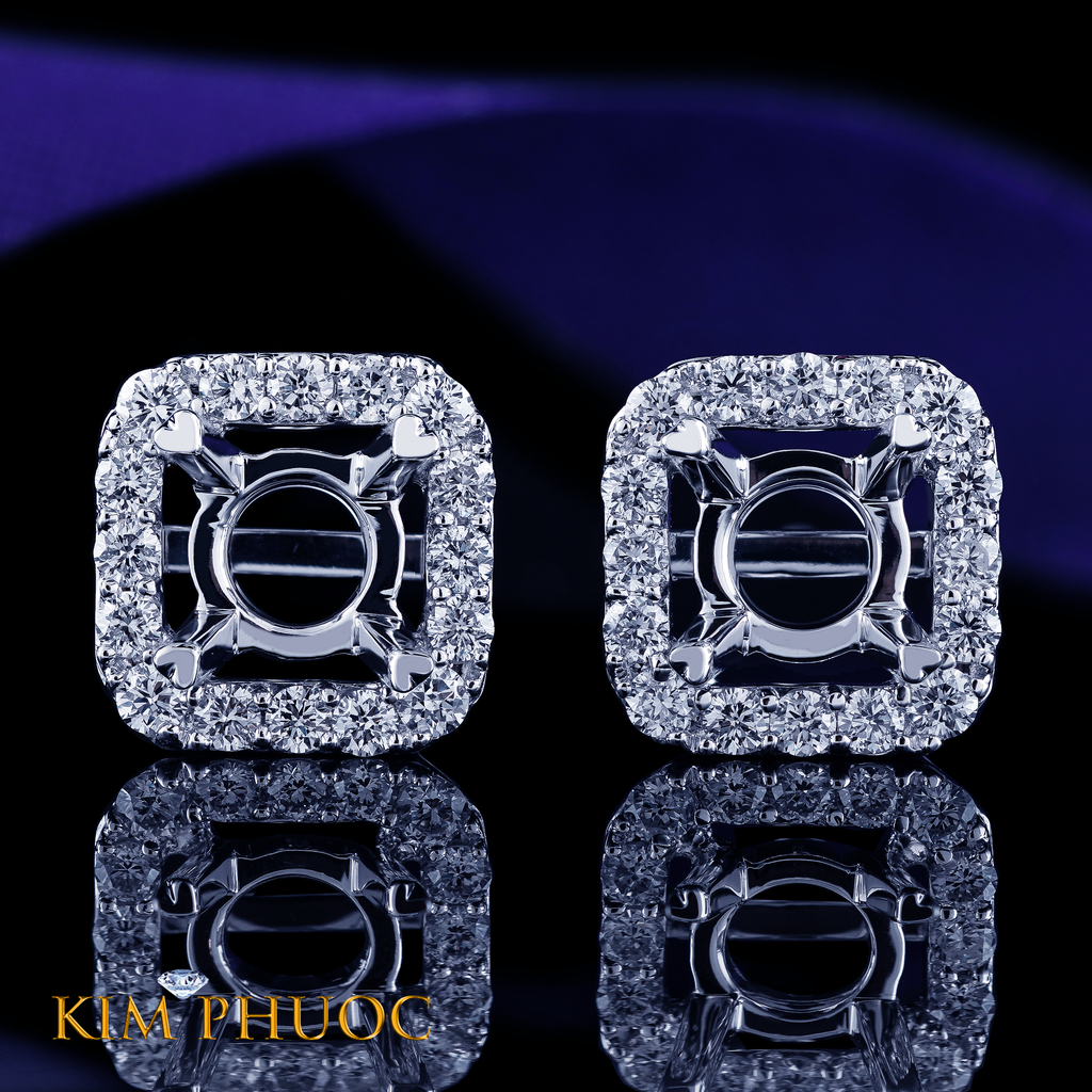 Earrings AEM447