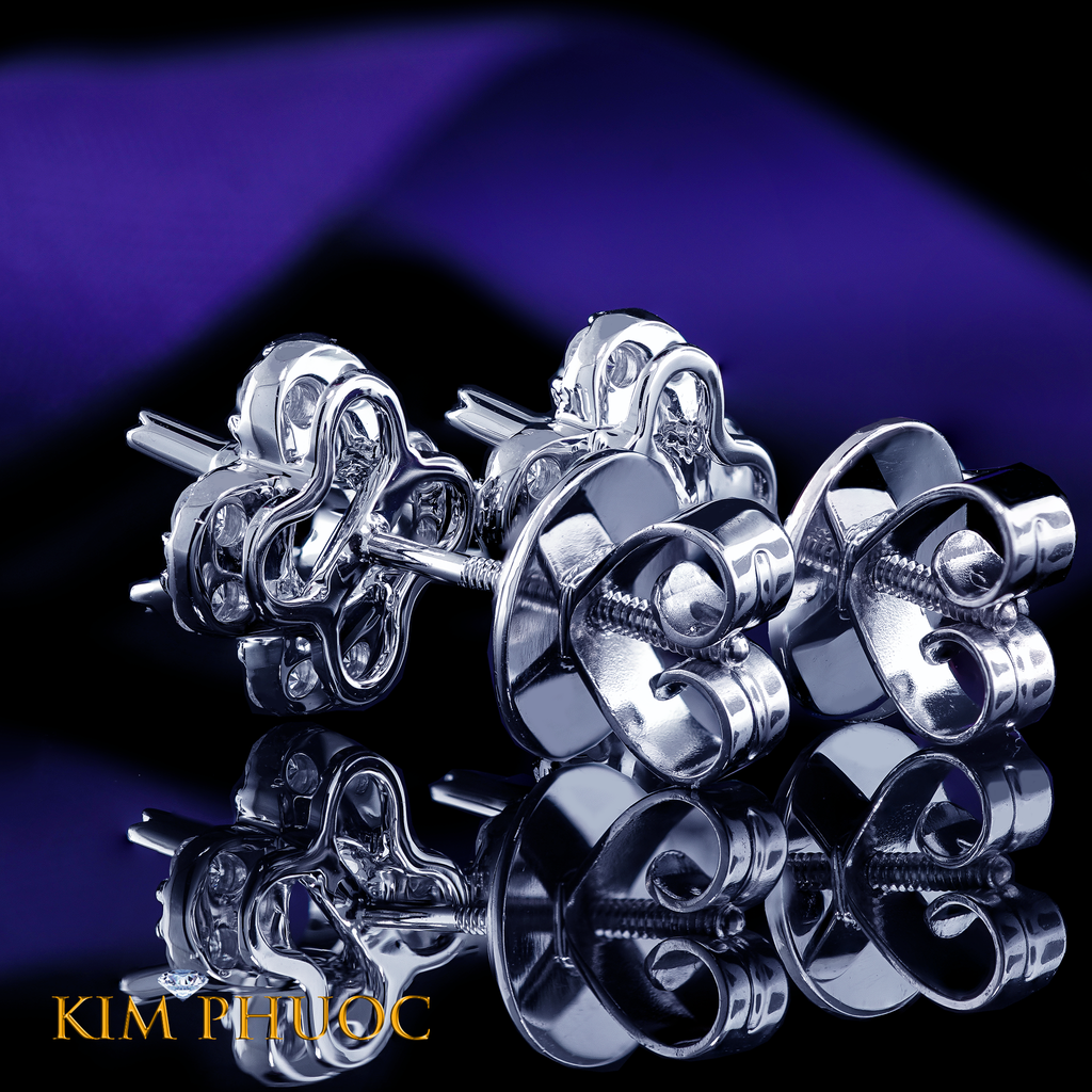 Earrings AEM456