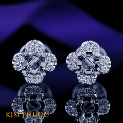 Earrings AEM456