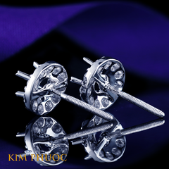 Earrings AEM459