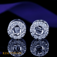 Earrings AEM459