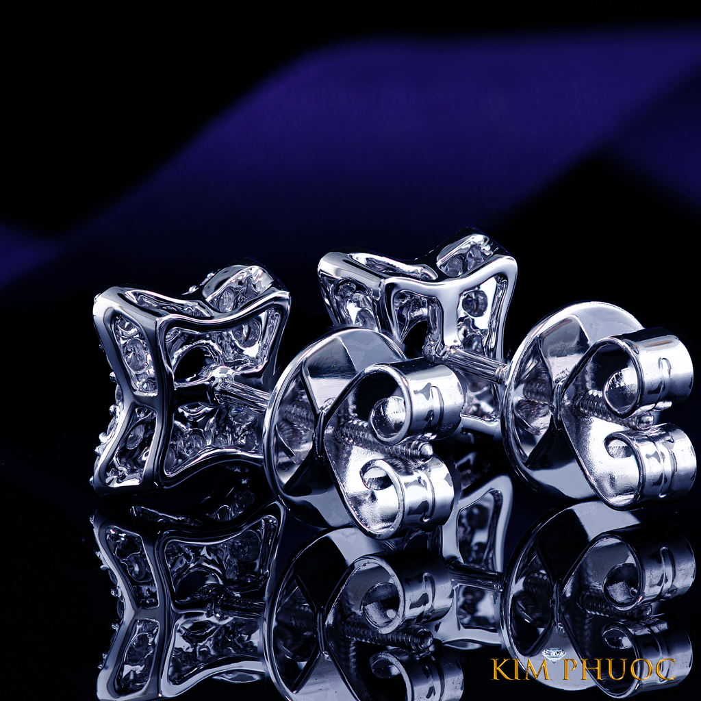 Earrings AEM467