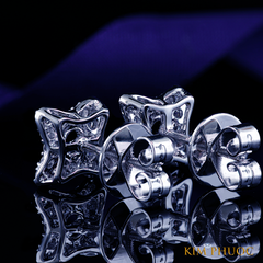 Earrings AEM467