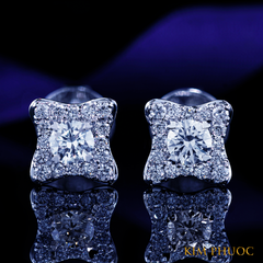 Earrings AEM467