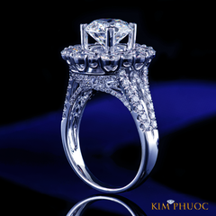 Ring ADM1024