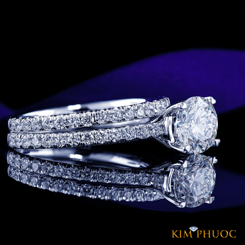 Ring ADM1031