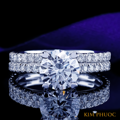 Ring ADM1031