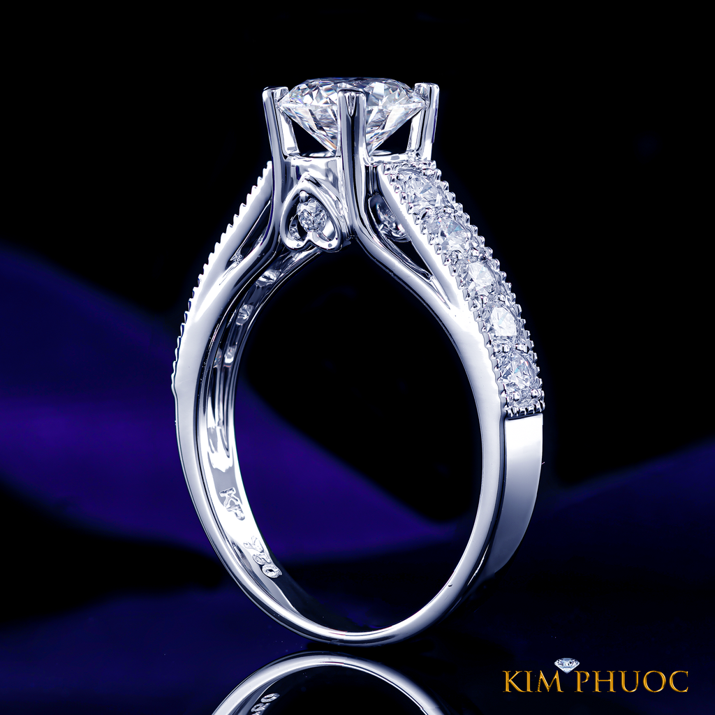 Ring ADM1034