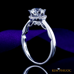 Ring ADM1055