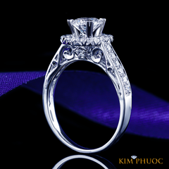 Ring ADM1060