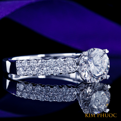 Ring ADM1063