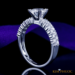 Ring ADM1063